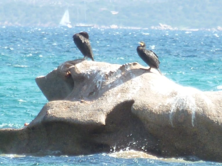 Baia di Cannigione